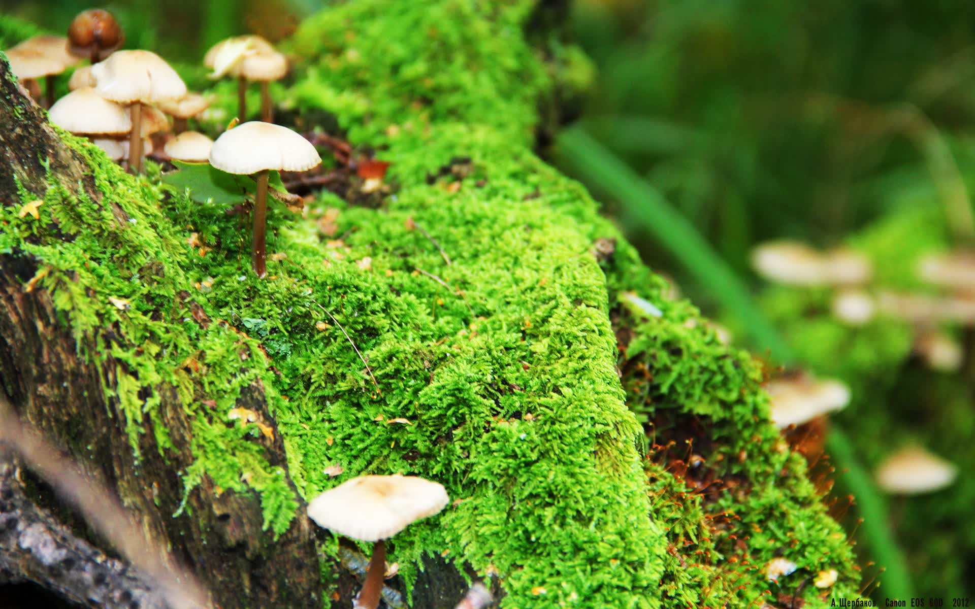 世界保龄球巡回赛城市站青少年赛事导师交流会举行，世界保龄球大赛视频